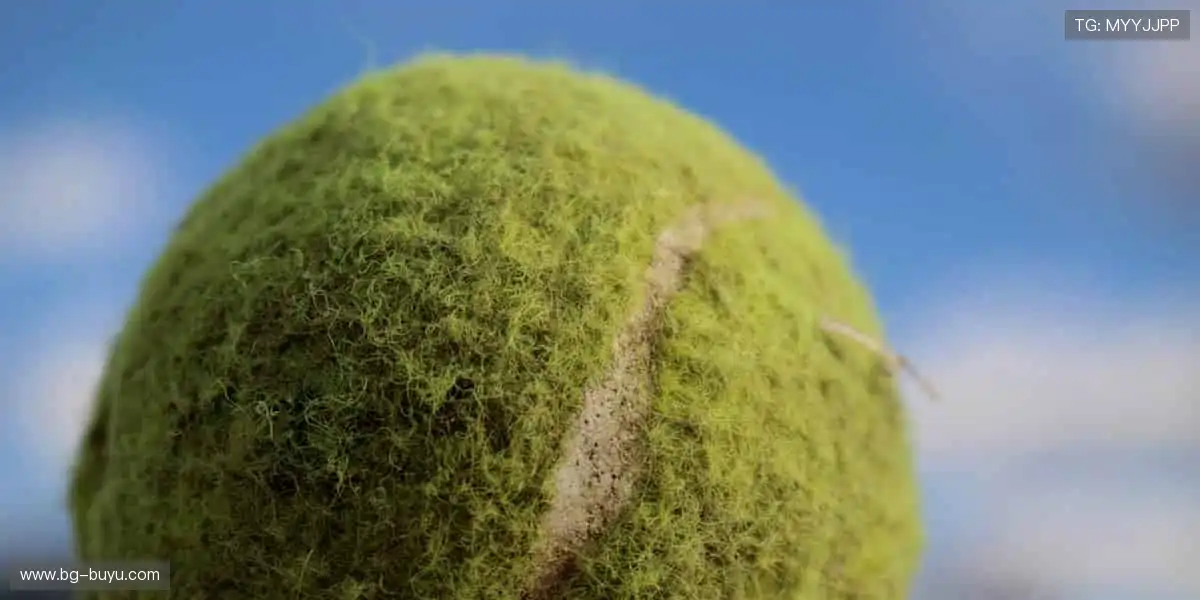 🎁从球衣到徽章,周边商城收藏你与偶像的独家记忆!